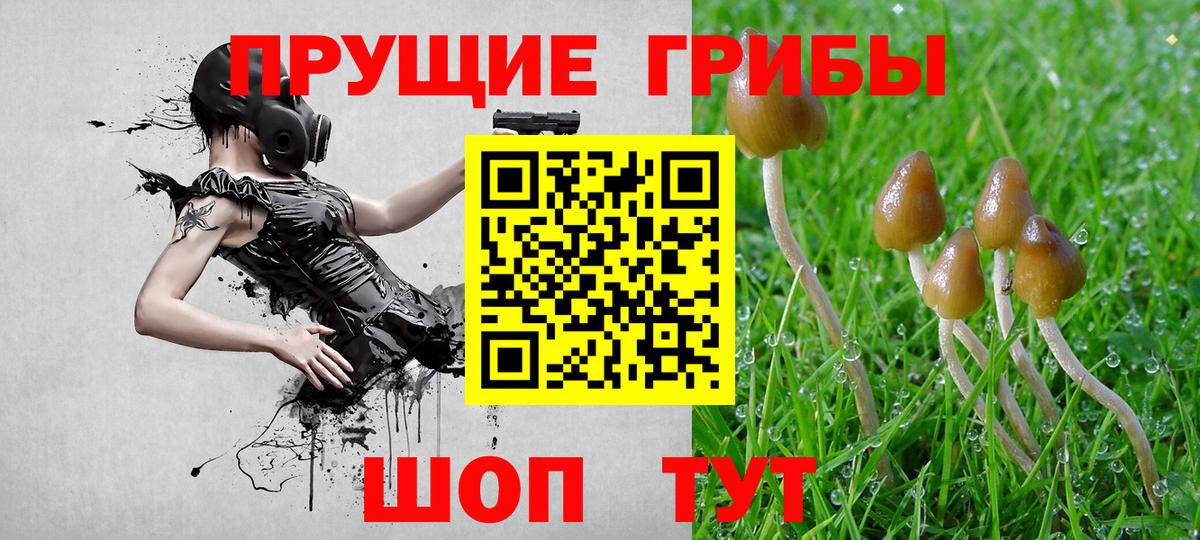 Псилоцибиновые грибы GOLDEN TEACHER  что такое наркотик  Выкса  Вход с VPN 