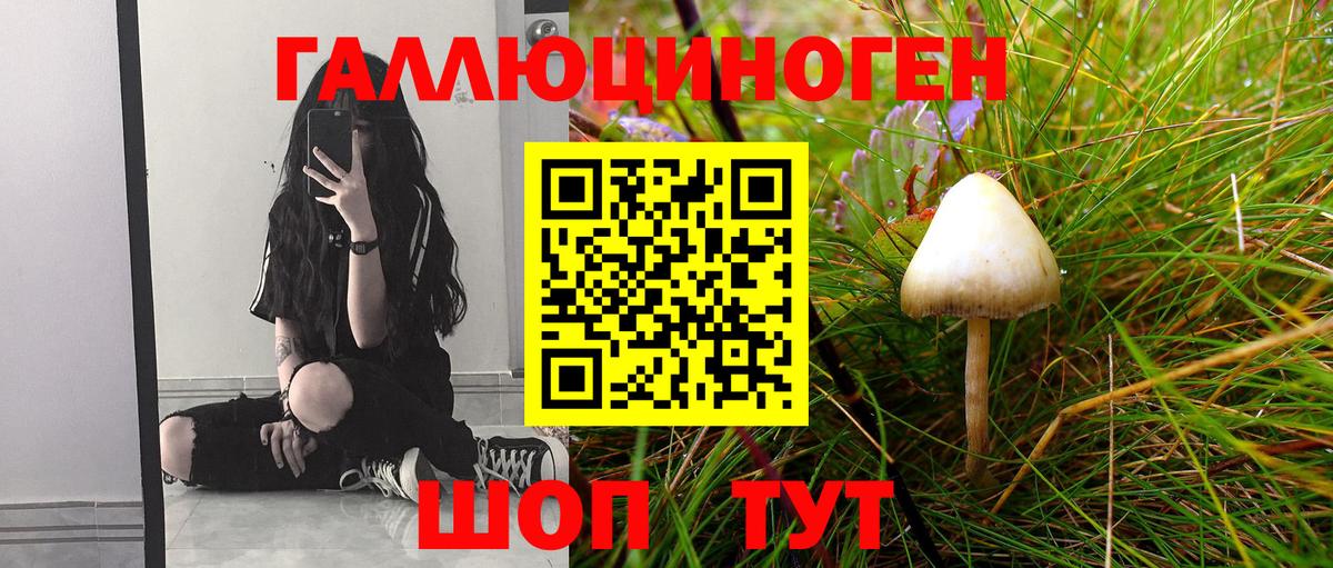 Галлюциногенные грибы Magic Shrooms Выкса